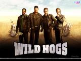 Wild Hogs (2007)